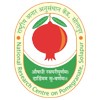 National Research Center on Pomegranate, Solapur