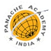 Panache Academy, Panji