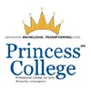 Princess College, Raipur