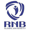 RNB Global University, School of Engineering and Technology, Bikaner - 2024