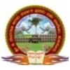Sri D Devaraja Urs Government First Grade College, Hunsur