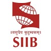 Symbiosis Institute of International Business, Pune