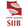 Symbiosis Institute of International Business Pune Maharashtra
