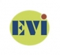 Evi Careers