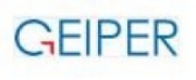 GEIPER Consulting Pvt. Ltd. Careers