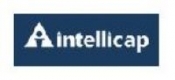 Intellecap Careers