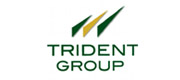 Trident Group Careers