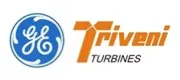 Triveni Engineering Careers