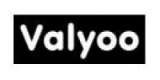 Valyoo Technologies Pvt Ltd Careers