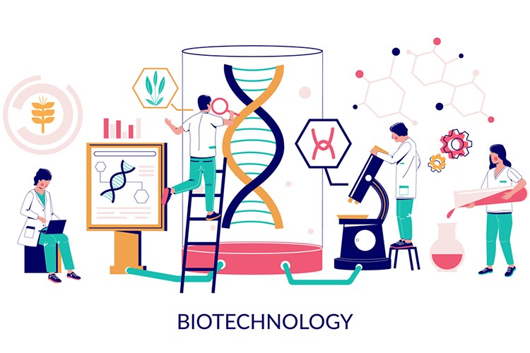 B.Tech in Biotechnology Courses Subjects Syllabus Career Scope