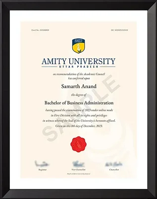 Amity University Online BBA Degree Certificate