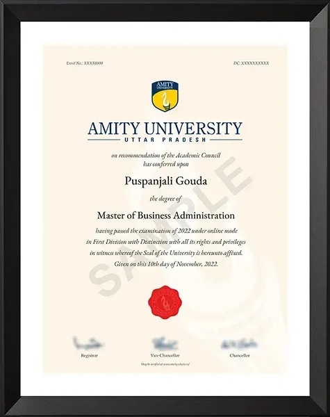 Amity University Online MBA Degree Certificate