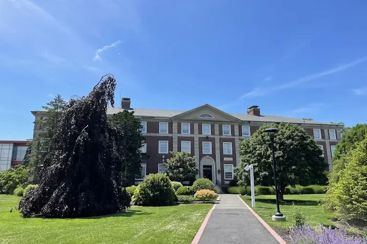 Adelphi University, USA