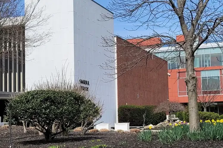 Adelphi University, USA