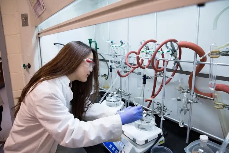 Adelphi University, USA