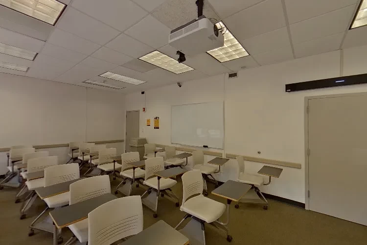 Adelphi University, USA