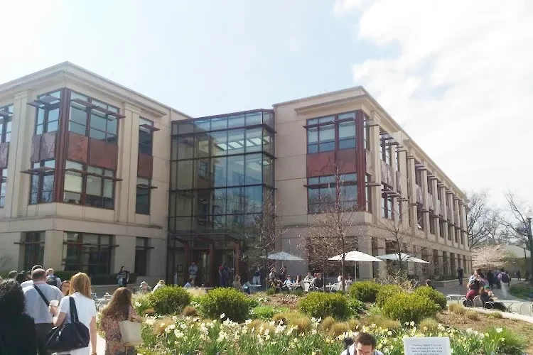 American University, USA