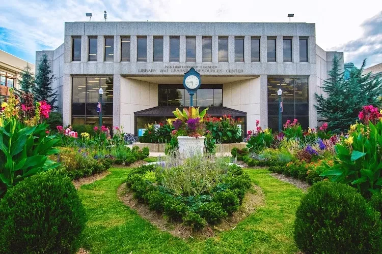 American University, USA