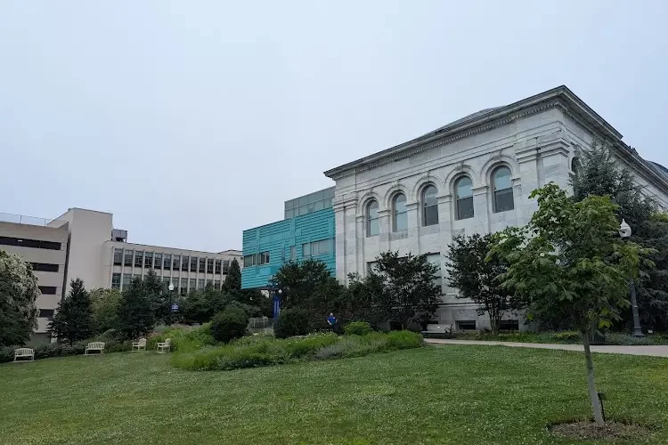 American University, USA