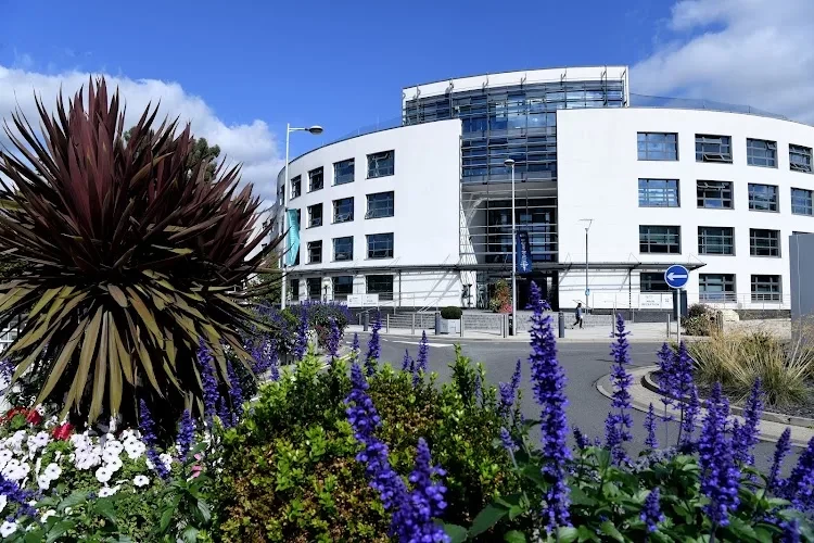 Brunel University London, United Kingdom
