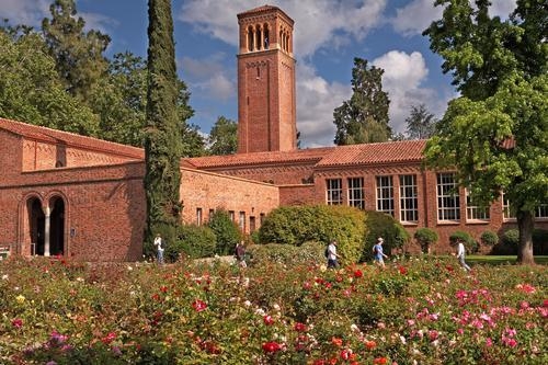 California State University, Chico