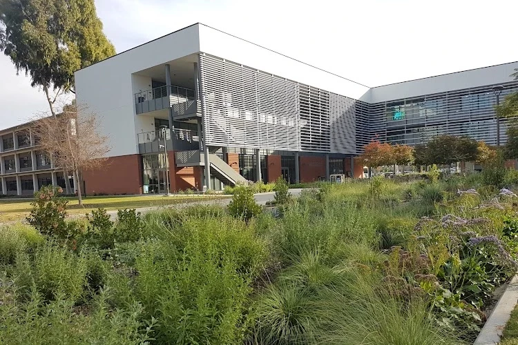 California State University Long Beach, Long Beach