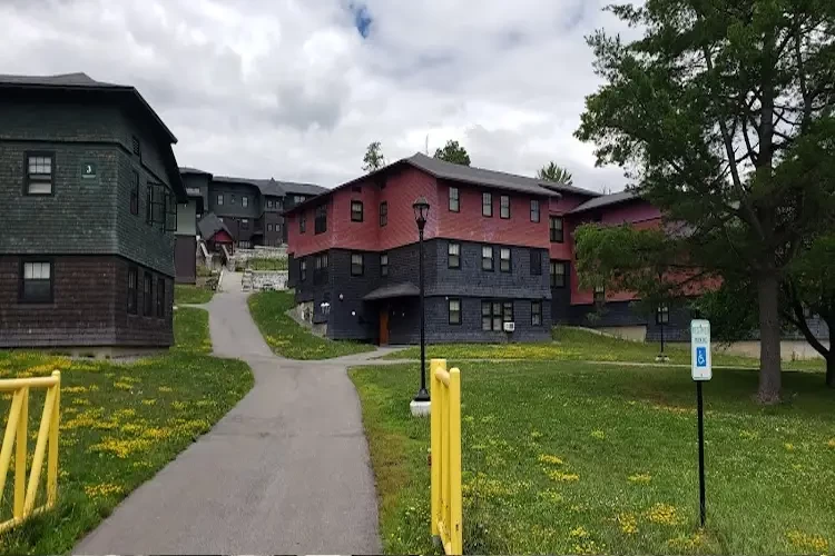 Clarkson University, USA