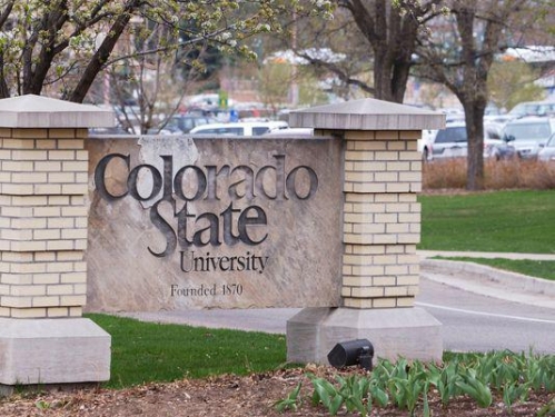 Colorado State University, Fort Collins