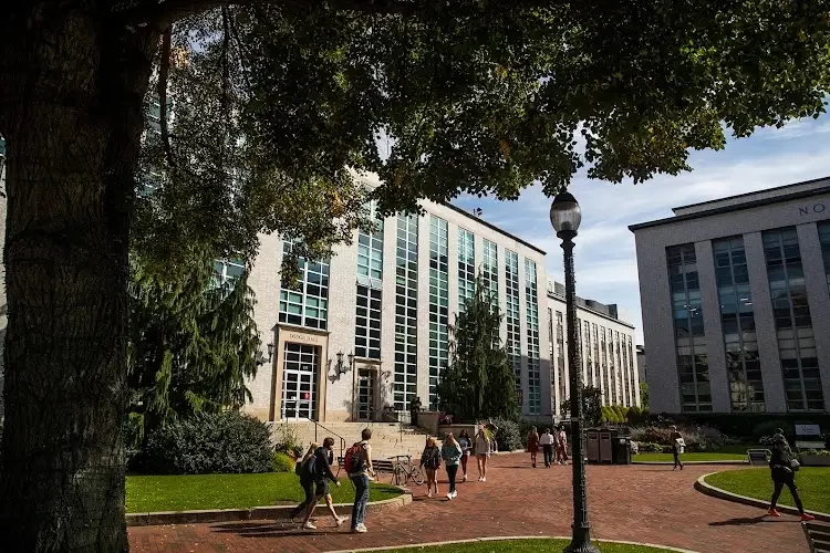 D'Amore-McKim School of Business, USA