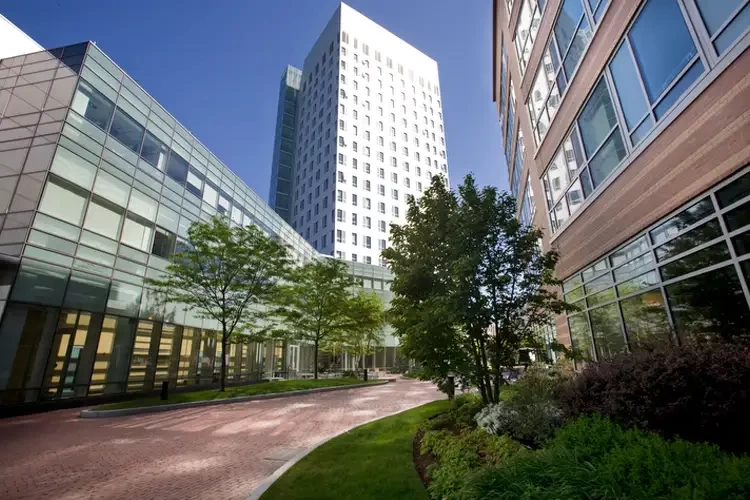 D'Amore-McKim School of Business, USA