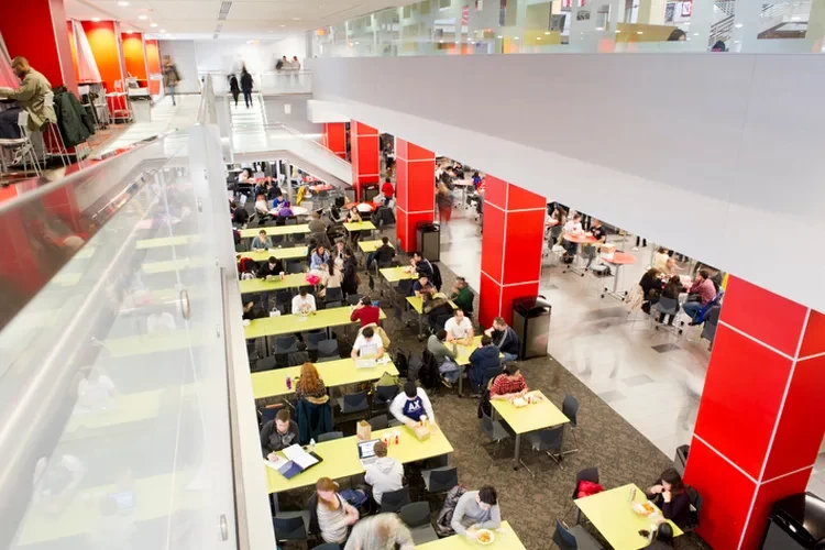 D'Amore-McKim School of Business, USA