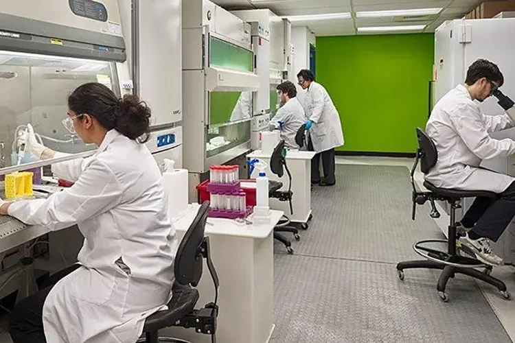 Drexel University, USA