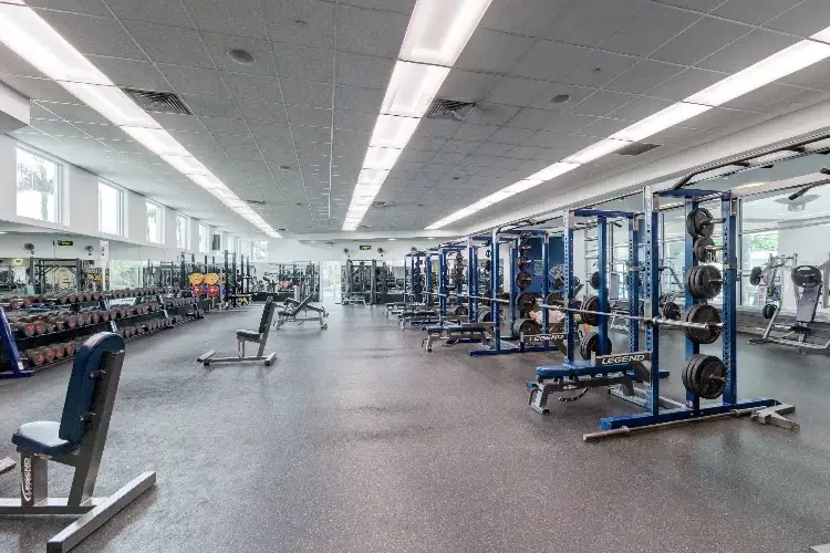 Florida Atlantic University, USA