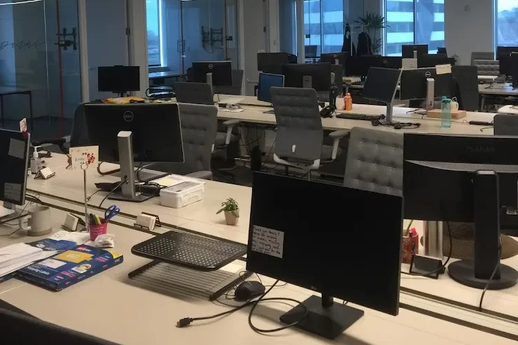 Hult International Business School, USA