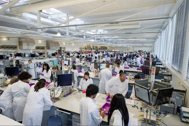 London Metropolitan University, London