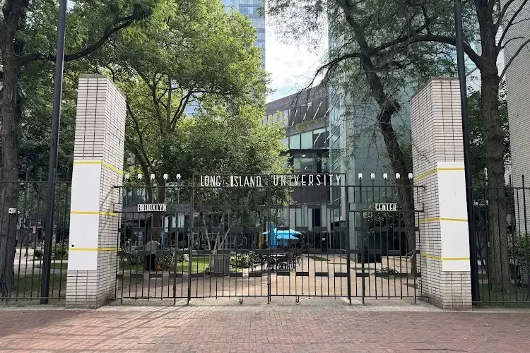 Long Island University, USA