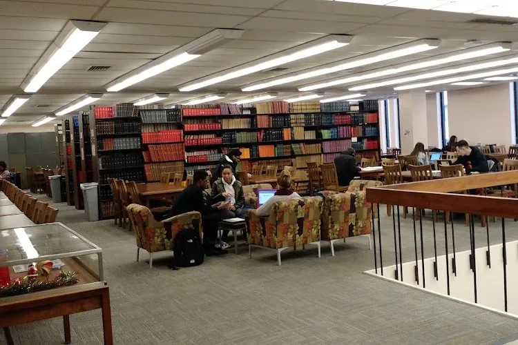 Pace University, USA