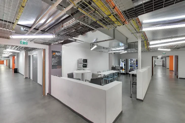 Paris School of Business, France