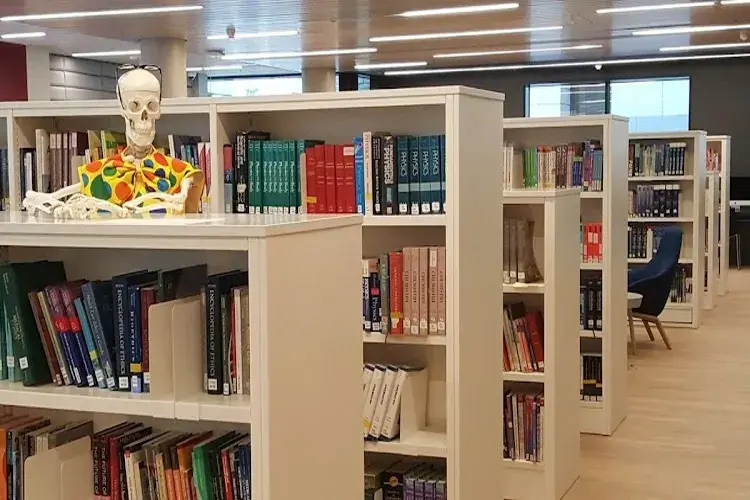 Royal College of Surgeons in Ireland, Ireland