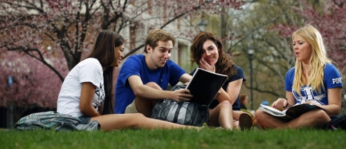 University Goce Delcev Stip, Shtip
