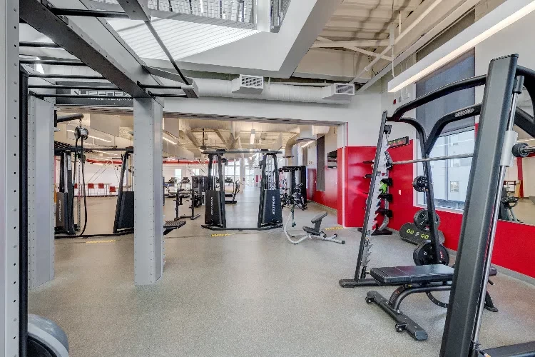 University of Arizona, USA