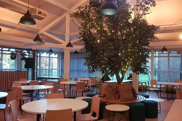 University of Buckingham, United Kingdom