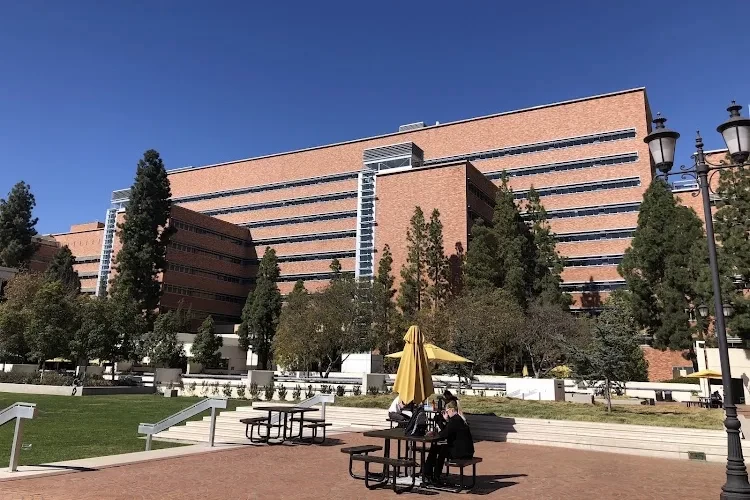 University of California Los Angeles, USA