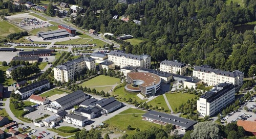 University of Gavle, Gavle