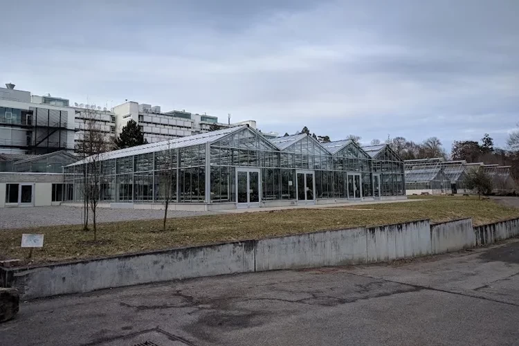 University of Hohenheim, Germany