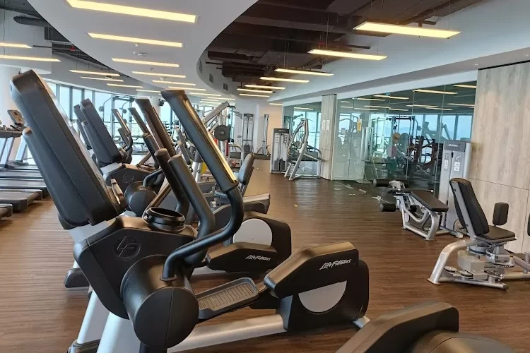 University of Plymouth, United Kingdom