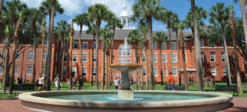 University of South Florida, Tampa