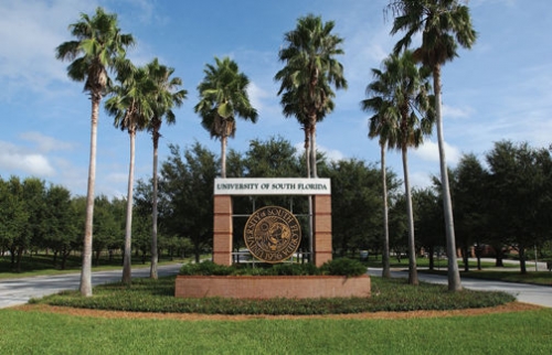 University of South Florida, Tampa