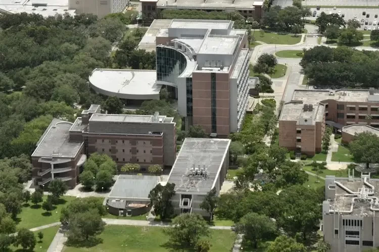 University of South Florida, USA