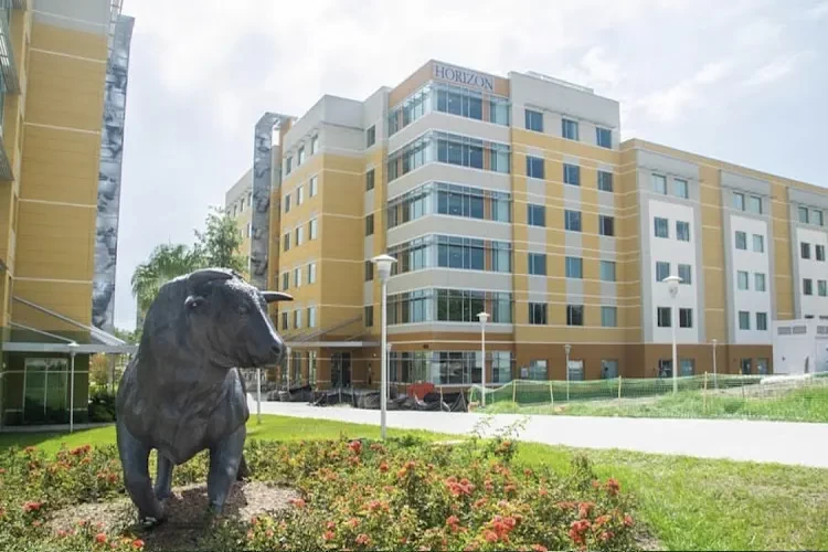 University of South Florida, USA